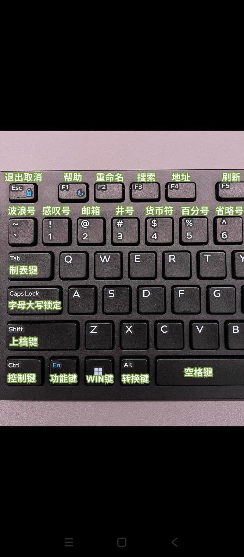 输入法总是自动切换成中文