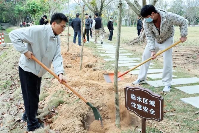 2026年植树节图片