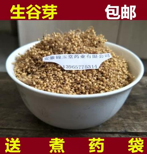 小米煮开都带白色的芽吗