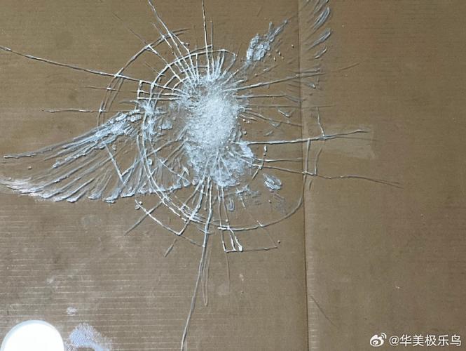 鸟撞窗死是挡灾还是转运