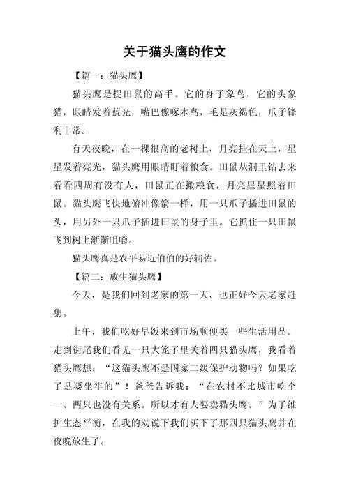 猫头鹰作文300字三年级