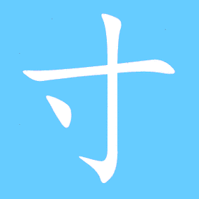 一个一个寸是什么字
