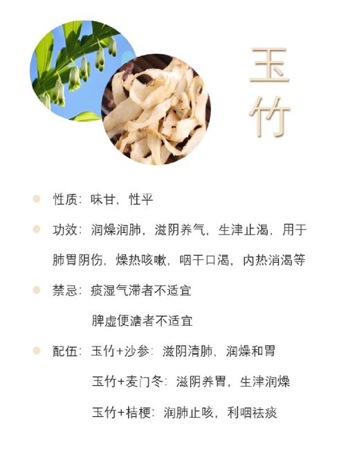草药玉竹的功效和作用