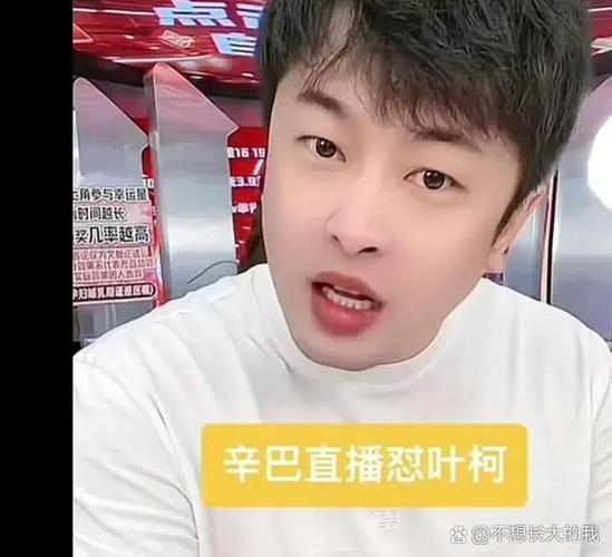 辛巴网红