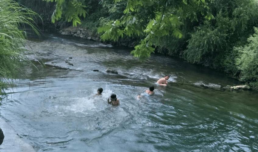 老伯游泳微博缩略图
