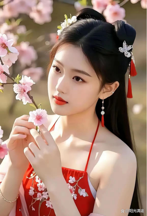 佳人代表什么意思截图