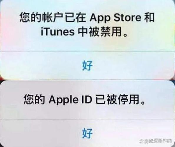 ipadappid退出不了