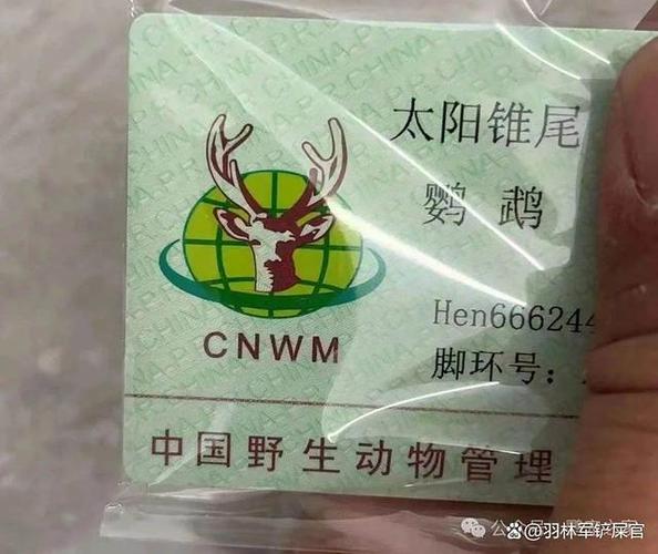 鹦鹉标识卡查询入口官网