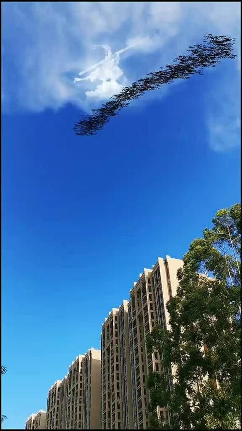 无意间拍到的照片