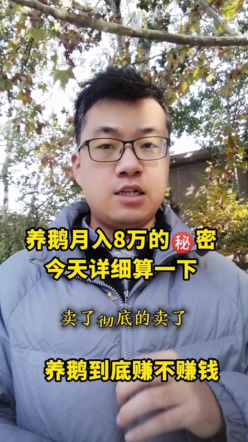 养鹅能赚多少钱一只