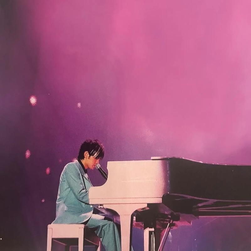 2004语无伦次演唱会
