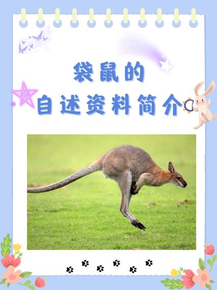 关于袋鼠的介绍