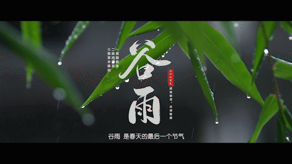 谷雨视频图标