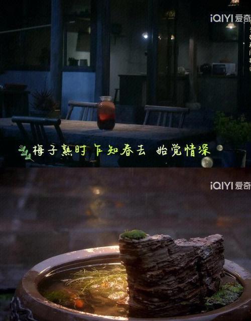 最食人间烟火色解说全集合集截图