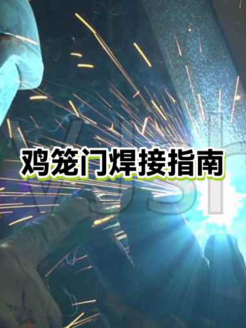 鸡笼门最简单的方法游戏截图