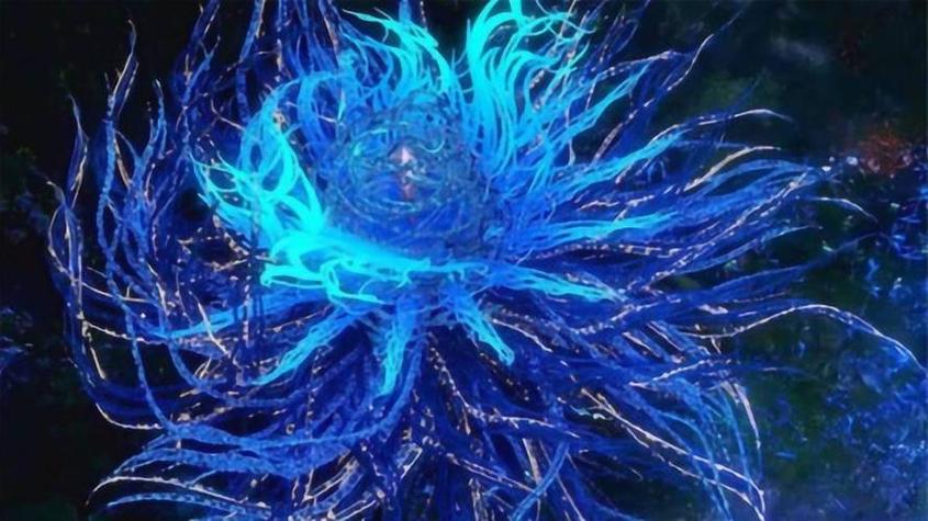 斗罗模拟蓝银皇阿银图标