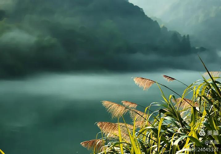 雾天拍摄模式