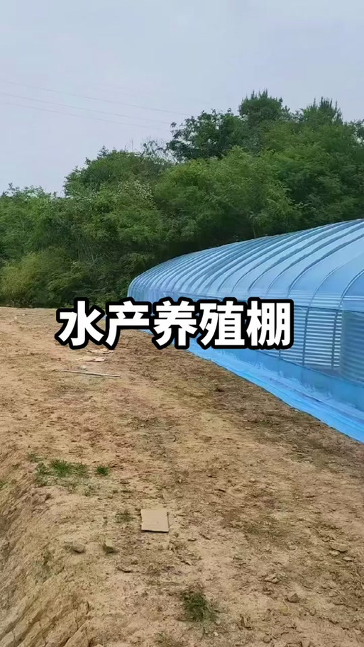 养殖大棚造价