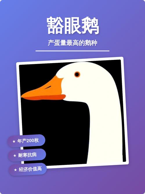 下蛋最大的鹅品种排名