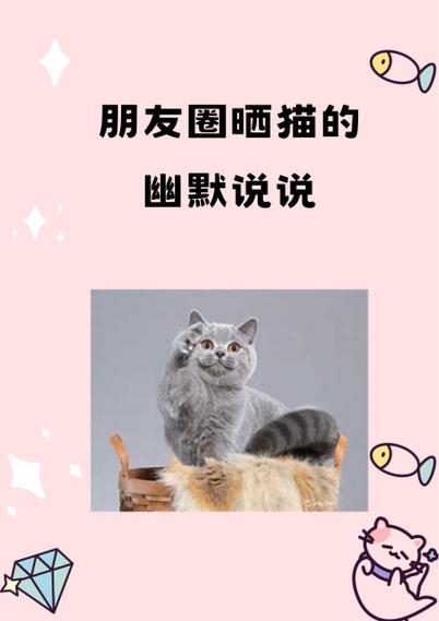 卖猫最吸引人的句子图标