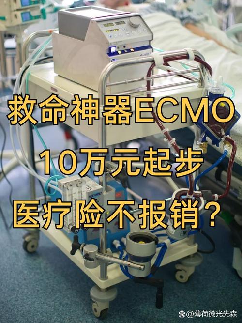 ecmo开机一天多少钱