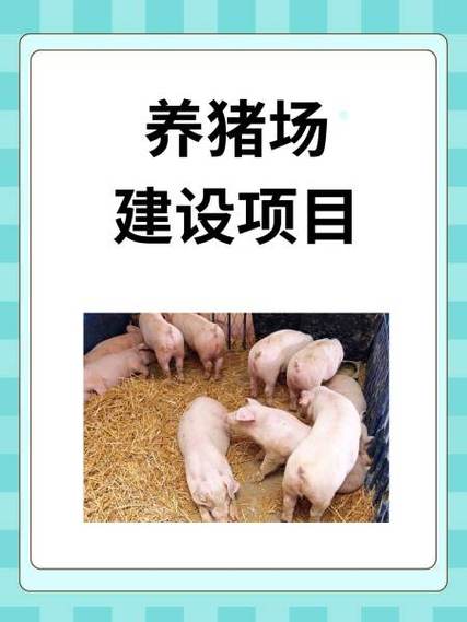我的养猪网