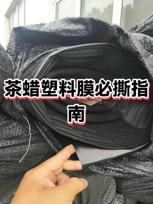 冰柜里面的塑料膜要撕掉吗缩略图