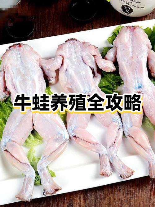 养蛙真的能赚钱吗