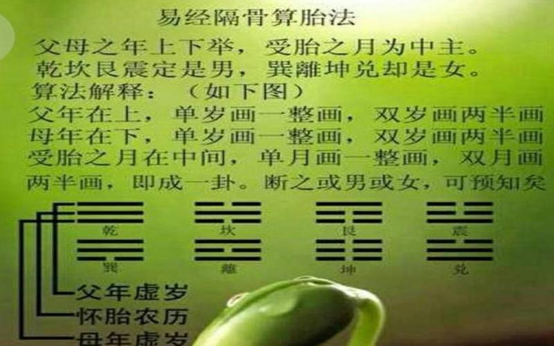 100%准确男女的算法