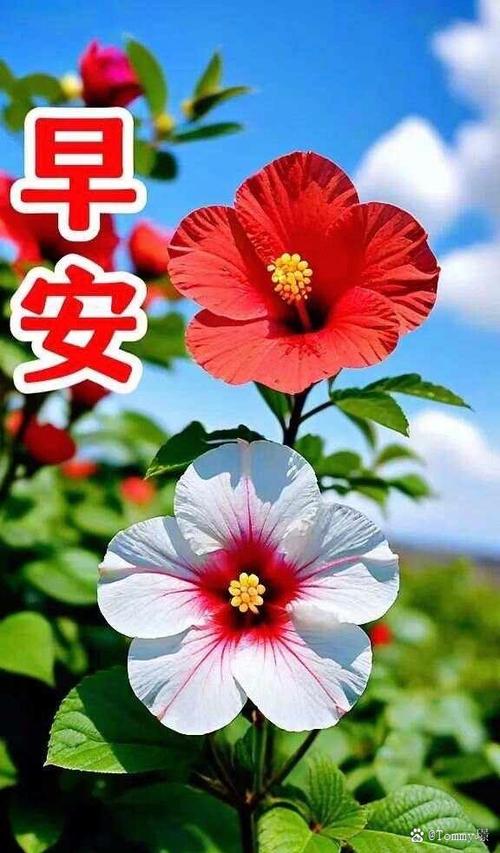 最适合养老的端游