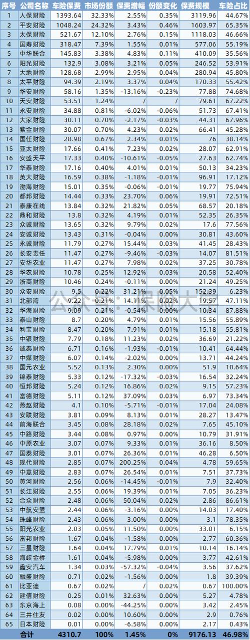 中国车险十大排名前十名截图