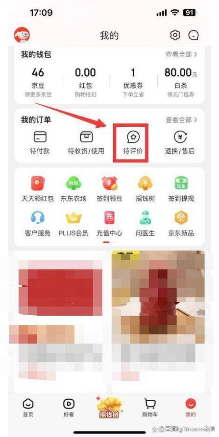 京东怎么从待评价切换到已评价截图