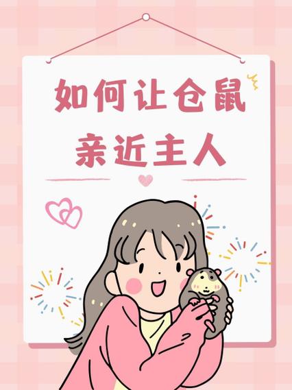 如何让仓鼠快速认主人