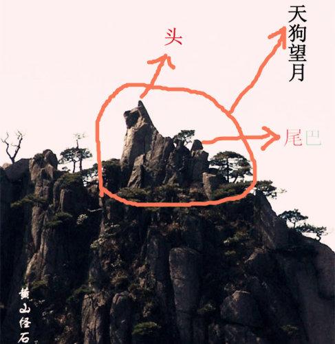 天狗望月吃掉月亮的图片