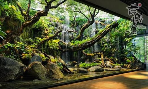 雨林景观效果图