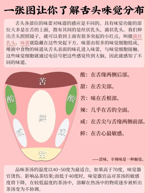 模拟味和数码味哪个好听图标