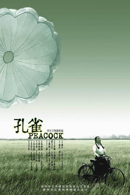 《孔雀》小说舒宜贺潮