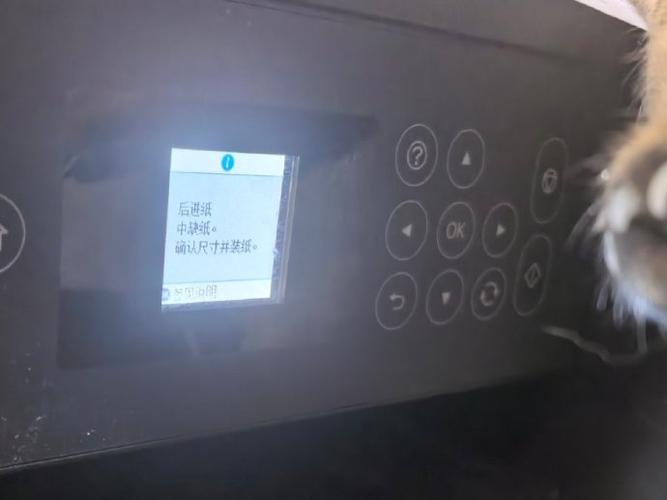 为什么打印机说没纸