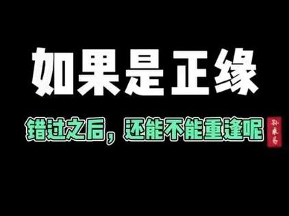 正缘错过了还会回来吗截图