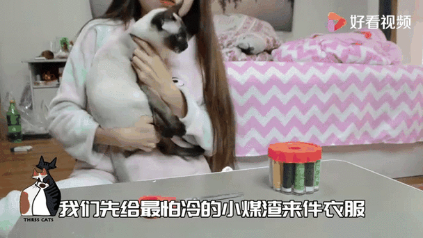 被猫碰过的衣服还能穿吗图标