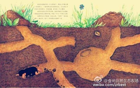 鼹鼠挖的深井主要内容