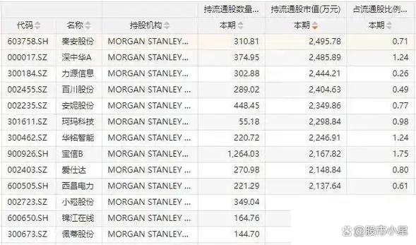 摩根士丹利持仓股一览表最新