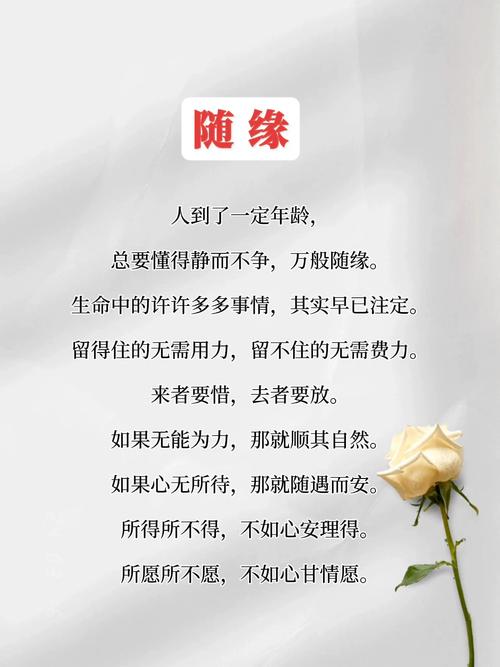 随心缘什么意思图标