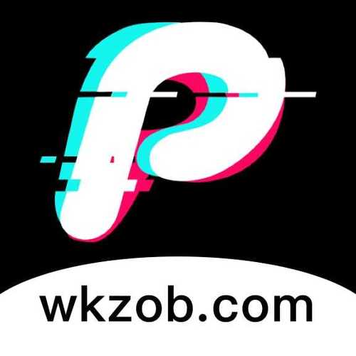 轻量app是什么意思图标