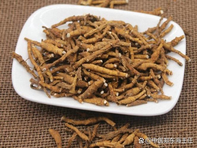 未来5年稀缺中药材图标