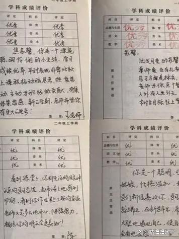 综合素质评价自我评价游戏截图