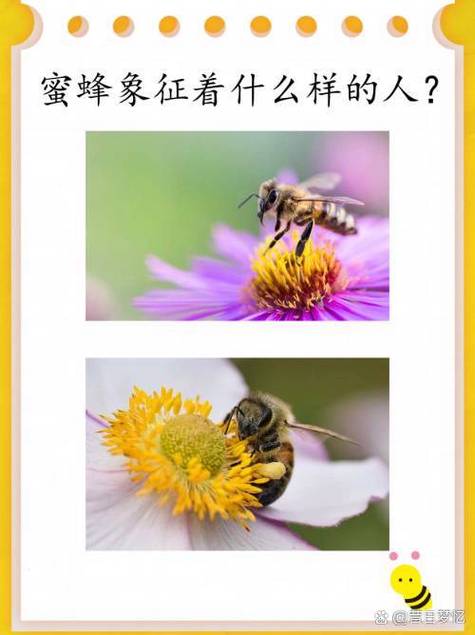 蜜蜂和蚂蚁短文的答案截图