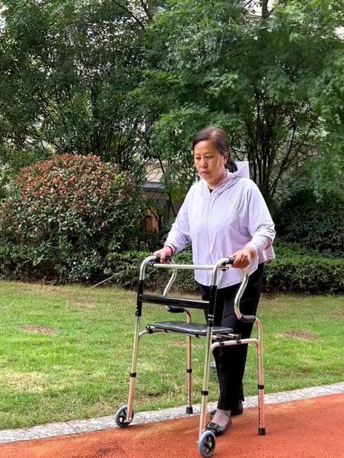 老年人助行器图片大全