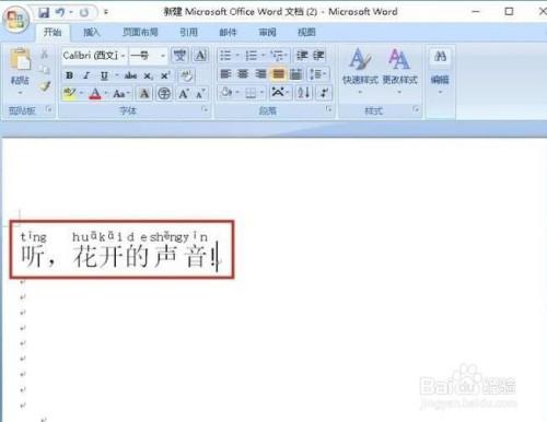 在word里面输入国际音标应该怎么输入