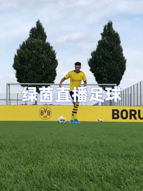 绿茵直播体育免费观看